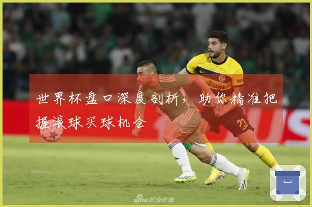 世界杯盘口深度剖析，助你精准把握滚球买球机会