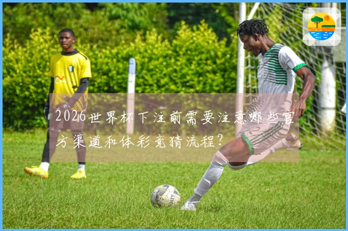 2026世界杯下注前需要注意哪些官方渠道和体彩竞猜流程？