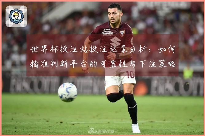 世界杯投注站投注记录分析，如何精准判断平台的可靠性与下注策略？