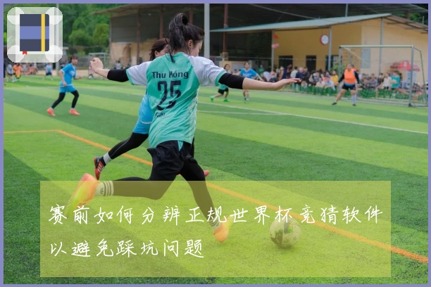 赛前如何分辨正规世界杯竞猜软件以避免踩坑问题