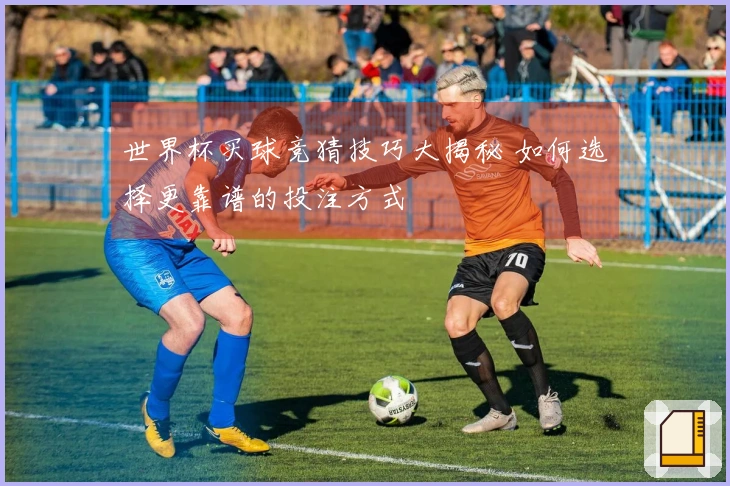 世界杯买球竞猜技巧大揭秘 如何选择更靠谱的投注方式