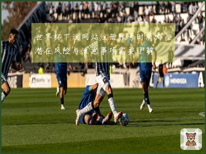 世界杯下注网站注册账号时有哪些潜在风险与注意事项需要了解